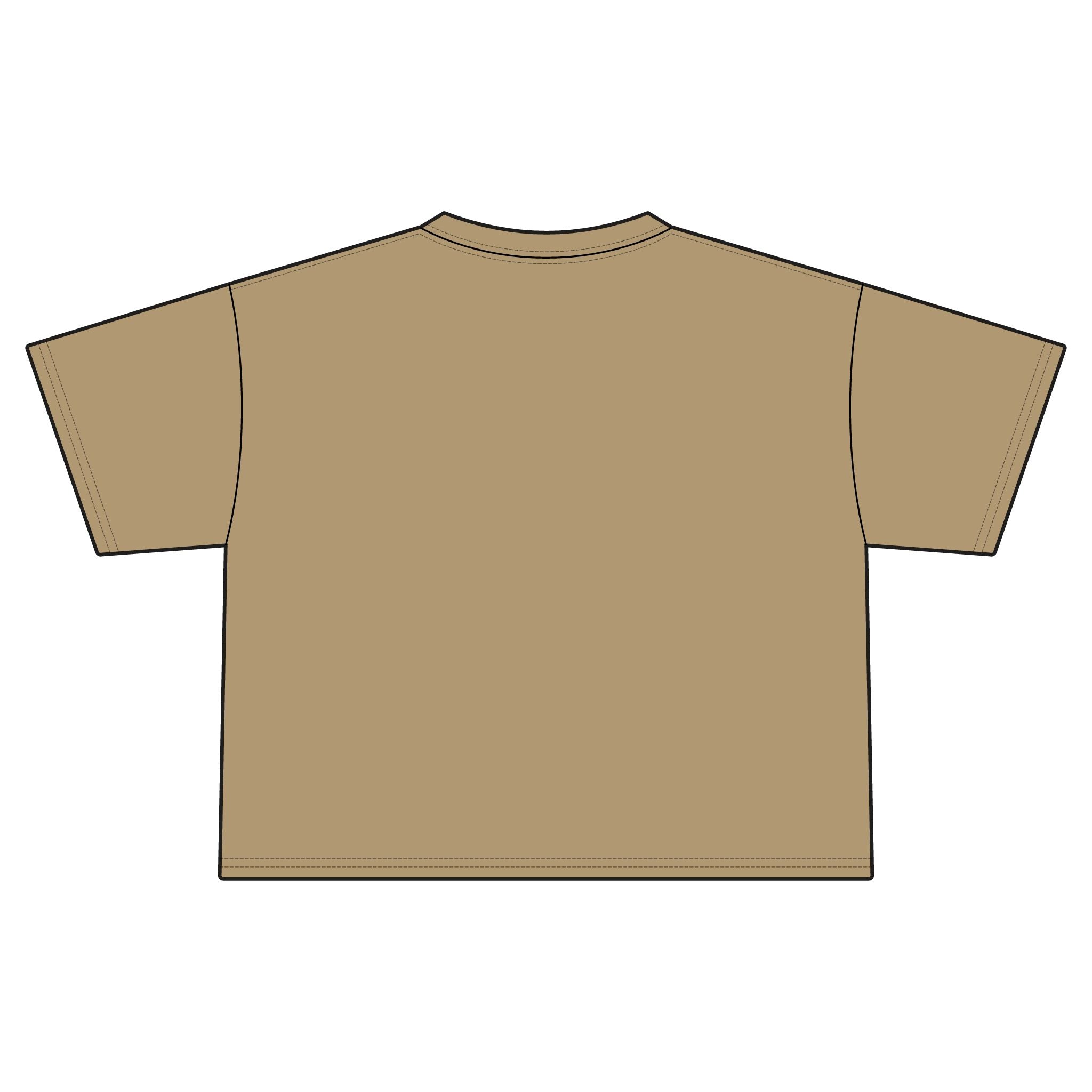 "Fuck Me Like The Government"Statement Crop Top Tee