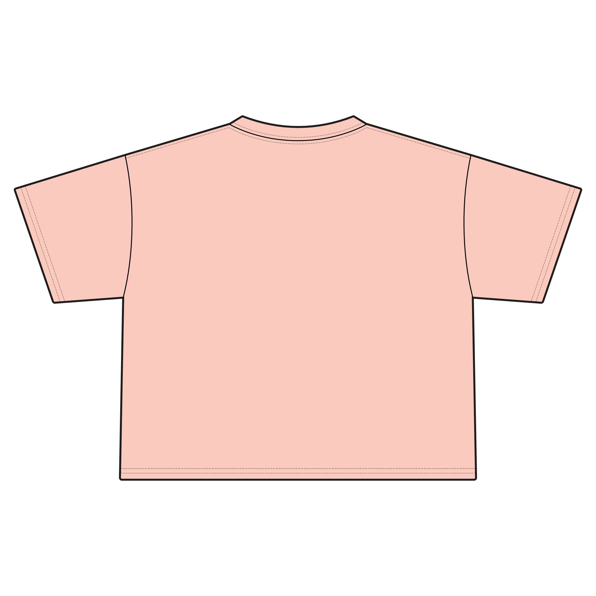 "Fuck Me Like The Government"Statement Crop Top Tee