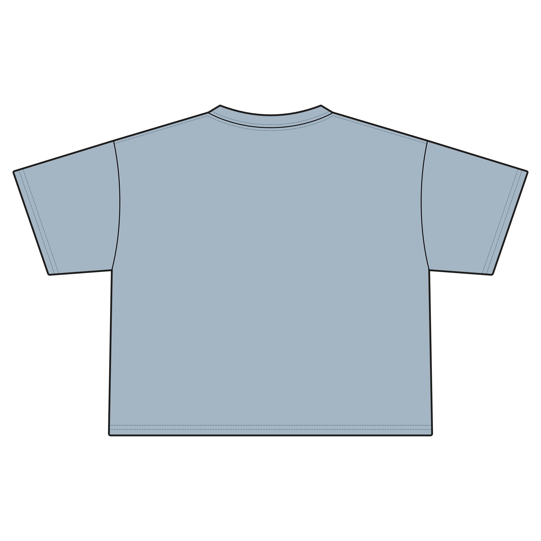 "Fuck Me Like The Government"Statement Crop Top Tee